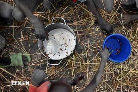 Trẻ em nhặt hạt ngũ cốc rơi vãi trên cánh đồng tại Ayod, Nam Sudan. (Ảnh: AFP/TTXVN)