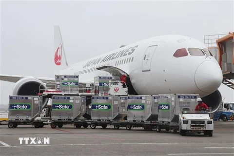 Lô vaccine ngừa COVID-19 viện trợ cho Đài Loan (Trung Quốc) chuẩn bị được chuyển lên máy bay ở sân bay Narita ở Chiba, Nhật Bản ngày 4/6/2021. (Ảnh: AFP/TTXVN)