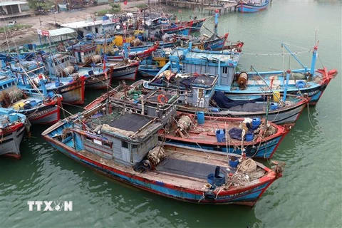 Tàu cá của ngư dân neo đậu tại Đà Nẵng. (Ảnh: Trần Lê Lâm/TTXVN)