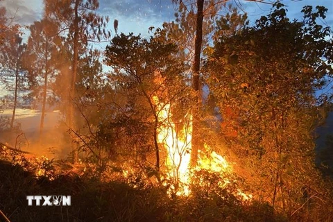 Một đám cháy rừng ở Thừa Thiên-Huế. (Ảnh: TTXVN phát)