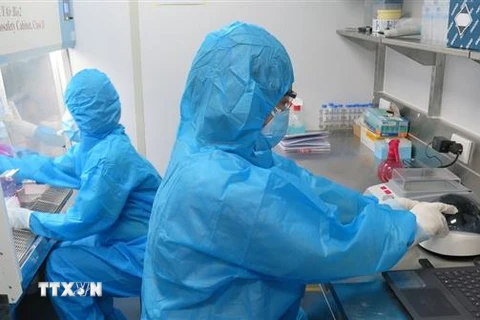 Các bác sỹ, kỹ thuật viên Trường Đại học Kỹ thuật Y - Dược Đà Nẵng hỗ trợ tỉnh Phú Yên thực hiện xét nghiệm SARS-CoV-2. (Ảnh: Xuân Triệu/TTXVN)