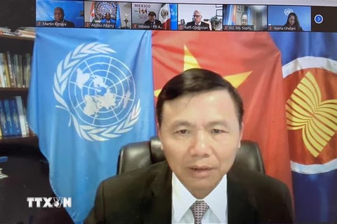 Đại sứ Đặng Đình Quý trưởng phái đoàn VN tai LHQ phát biểu tại phiên họp HĐBA ngày 11/8/2021. (Ảnh: TTXVN)