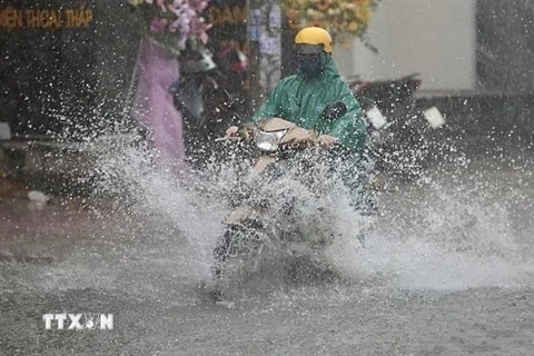 (Ảnh minh họa: Hồng Giang/TTXVN)