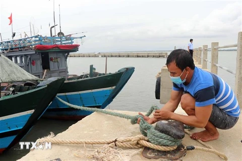 Tàu thuyền vào neo đậu an toàn tránh bão số 5 tại Khu neo đậu Phú Hải, huyện Phú Vang, Thừa Thiên-Huế. (Ảnh: Đỗ Trưởng/TTXVN)