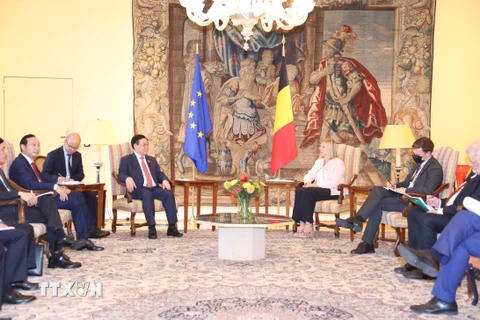 Chủ tịch Quốc hội Vương Đình Huệ Hội đàm với Chủ tịch Hạ viện Bỉ Elliance Tillieux. (Ảnh: Doãn Tấn/TTXVN)