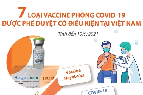 7 loại vaccine phòng COVID-19 được phê duyệt có điều kiện tại Việt Nam