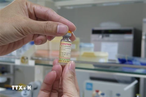 Vaccine Covivac thành phẩm do Viện Vaccine và Sinh phẩm Y tế (thuộc Bộ Y tế) đặt tại Khánh Hòa nghiên cứu và sản xuất. (Ảnh: Phan Sáu/TTXVN)