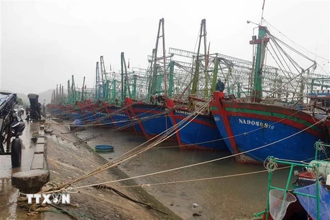 Tàu thuyền về neo đậu tránh trú bão tại khu cảng cá Lạch Quèn, huyện Quỳnh Lưu (Nghệ An). (Ảnh: Tá Chuyên/TTXVN)