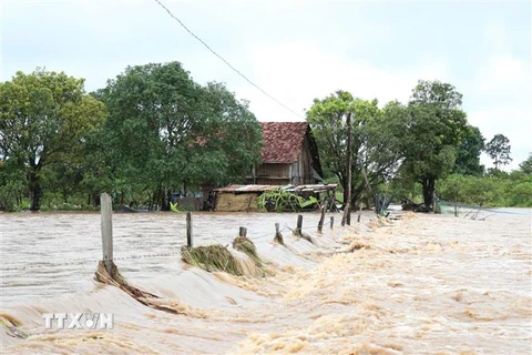 Nhiều nhà dân ở xã Cư Kbang, huyện Ea Súp bị ngập do mưa lũ. (Ảnh: Tuấn Anh/TTXVN)