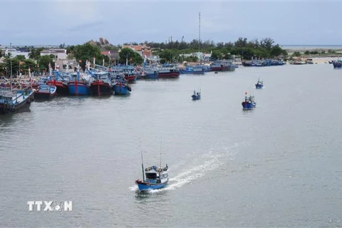 Tàu cá của ngư dân khẩn trương vào neo đậu tại khu vực cảng Ninh Chữ (huyện Ninh Hải, Ninh Thuận) để tránh áp thấp nhiệt đới có khả năng mạnh lên thành bão. (Ảnh: Nguyễn Thành/TTXVN)
