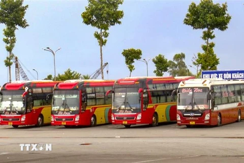 Xe khách chạy các tuyến đường dài đỗ tại Bến xe trung tâm thành phố Cần Thơ trong thời gian tạm ngưng do dịch COVID-19. (Ảnh: Thanh Liêm/TTXVN)