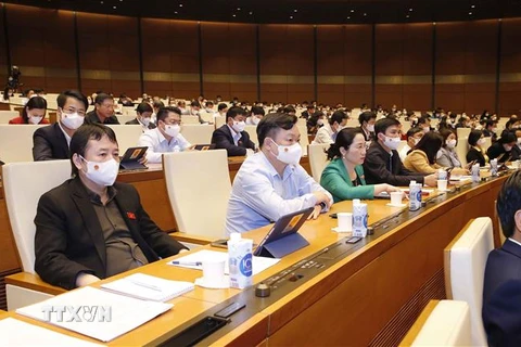 Đoàn đại biểu Quốc hội tỉnh Bắc Kạn dự phiên họp. (Ảnh: Doãn Tấn/TTXVN)