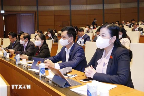 Đoàn đại biểu Quốc hội tỉnh Thái Nguyên dự phiên họp. (Ảnh: Doãn Tấn/TTXVN)