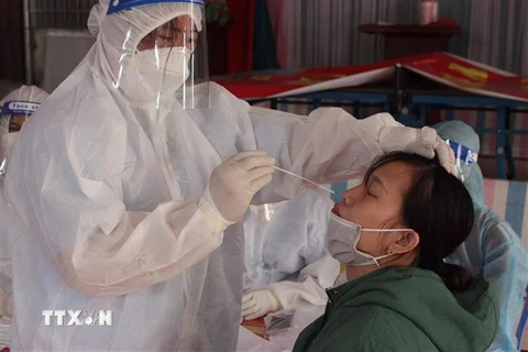 Ngành y tế lấy mẫu sàng lọc xét nghiệm COVID-19 cho người dân khu vực bị phong tỏa tại Ninh Bình. (Ảnh: Đức Phương/TTXVN)