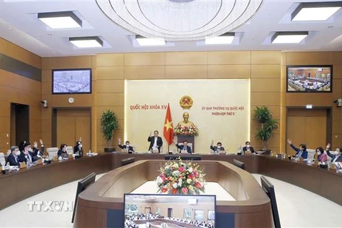 Ủy ban Thường vụ Quốc hội biểu quyết về việc ký Hiệp định Bảo hiểm xã hội giữa Việt Nam và Hàn Quốc. (Ảnh: Doãn Tấn/TTXVN)