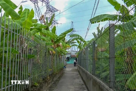 Lối vào nhà một hộ dân ở khu vực 6, phường Trà Nóc, quận Bình Thủy, thành phố, Cần Thơ, phía trên là đường dây trung thế 66 kV. (Ảnh: Thanh Liêm/TTXVN)