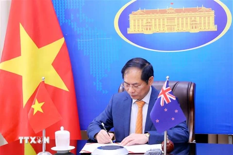 Bộ trưởng Ngoại giao Bùi Thanh Sơn ký chương trình hành động Việt Nam-New Zealand giai đoạn 2021-2024. (Ảnh: Lâm Khánh/TTXVN)