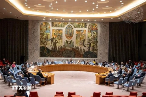 Hội đồng Bảo an Liên hợp quốc họp đánh giá việc thực hiện Nghị quyết 2118 (năm 2013) liên quan đến vấn đề vũ khí hóa học tại Syria ngày 4/10. (Ảnh: TTXVN)