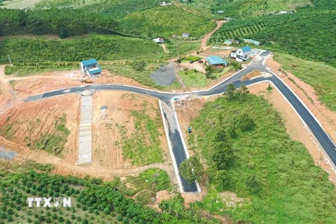 Các ngọn đồi trong “dự án” The Tropicana 2 đã bị cạo trọc cây xanh để xây dựng công trình và làm đường nội khu. (Ảnh: Nguyễn Dũng/TTXVN)