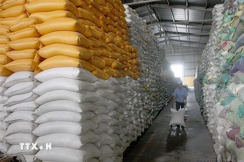 Kho gạo dự trữ xuất khẩu của Công ty Lương thực Thành phố Hồ Chí Minh (Tổng Công ty Lương thực miền Nam). (Ảnh: Đình Huệ/TTXVN)