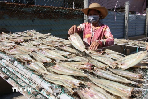 Các hộ sản xuất cá khô ở làng nghề truyền thống chế biến cá khô Bình Thắng, huyện Bình Đại, tỉnh Bến Tre. (Ảnh: Công Trí/TTXVN)