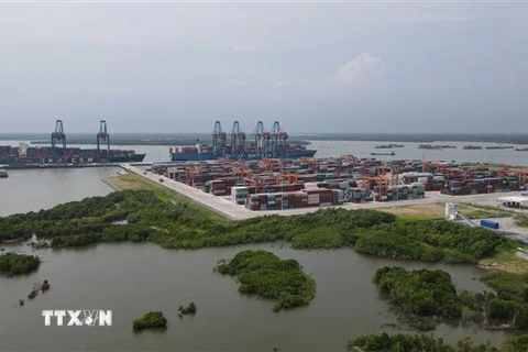  Cảng Gemalink thuộc cụm cảng biển số 5 có tổng diện tích 72 ha, là cảng nước sâu duy nhất khu vực Cái Mép-Thị Vải có bến chuyên dụng cho tàu feeder kết nối khu vực Thành phố Hồ Chí Minh và Đồng bằng sông Cửu Long. (Ảnh minh họa: Huỳnh Ngọc Sơn/TTXVN)