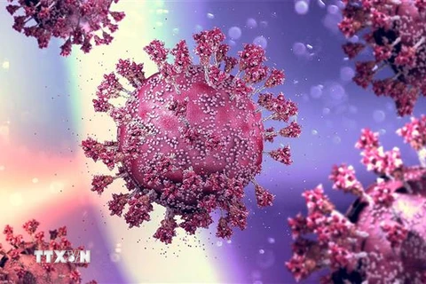 Hình ảnh mô phỏng virus SARS-CoV-2 gây bệnh COVID-19. (Ảnh: MedPage Today/TTXVN)
