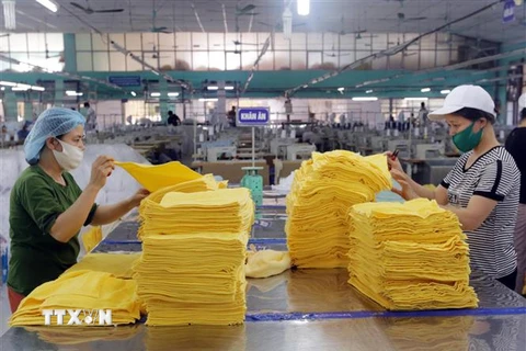 Sản xuất hàng xuất khẩu sang thị trường Nhật Bản tại Công ty Cổ phần dệt may Sơn Nam, Nam Định (ảnh tư liệu). (Ảnh: Trần Việt/TTXVN)