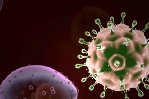 Virus HIV. (Nguồn: theguardian.com)