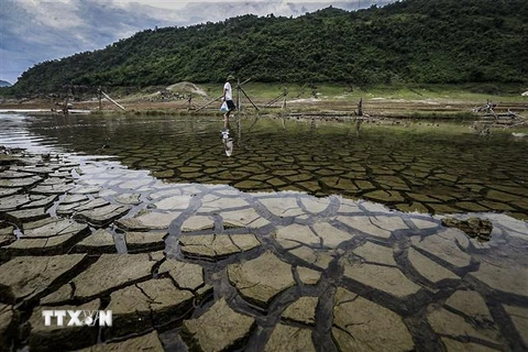 Hình ảnh khô hạn và nứt nẻ của lòng sông Đà khi thiếu nước trên nhánh sông chảy về xã Hiền Lương, huyện Đà Bắc. (Ảnh: Trọng Đạt/TTXVN)