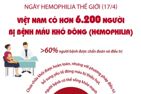 [Infographics] Việt Nam có hơn 6.200 người bị bệnh máu khó đông