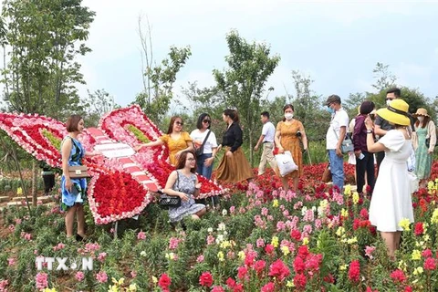 Khách du lịch thăm quan vườn hoa hồng tại Khu du lịch cáp treo Fansipan. (Ảnh: Quốc Khánh/TTXVN)
