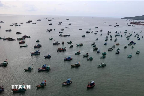 Tàu cá hoạt động trên vùng biển Phú Quốc. (Ảnh: Lê Huy Hải/TTXVN)