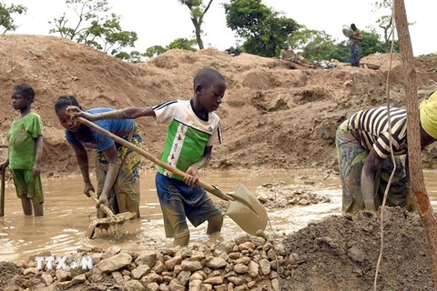 Trẻ em làm việc tại một mỏ vàng ở Gam, Cộng hòa Trung Phi. (Ảnh: AFP/TTXVN)