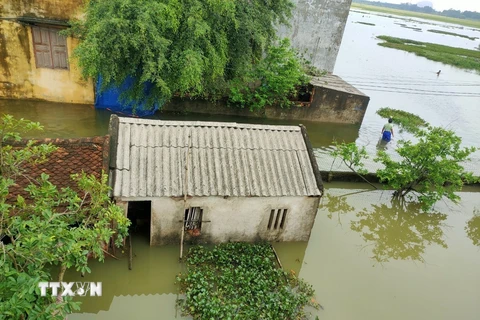 Mưa lớn trong nhiều ngày qua đã khiến hàng trăm hộ dân ở huyện Thiệu Hóa (Thanh Hóa) bị ngập sâu trong nước lũ, cuộc sống, sinh hoạt gặp nhiều khó khăn. (Ảnh: TTXVN phát)