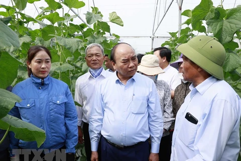 Chủ tịch nước Nguyễn Xuân Phúc thăm mô hình người cao tuổi làm kinh tế giỏi Hợp tác xã Tân Minh Đức. (Ảnh: Thống Nhất/TTXVN)