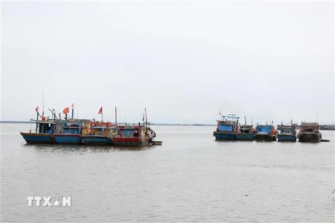 Đội tàu cá công suất lớn đánh bắt xa bờ của ngư dân Quảng Trị neo đậu tại Khu neo đậu Bắc Cửa Việt. (Ảnh: Nguyên Lý/TTXVN)