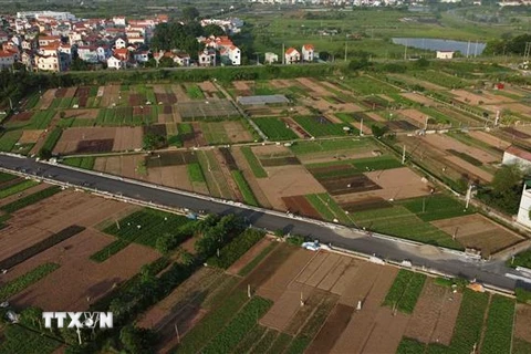 Cánh đồng chuyên canh trồng rau, củ, quả đảm bảo an toàn ở xã Tiền Yên, huyện Hoài Đức (Hà Nội) nhìn từ trên cao. (Ảnh: Vũ Sinh/TTXVN)