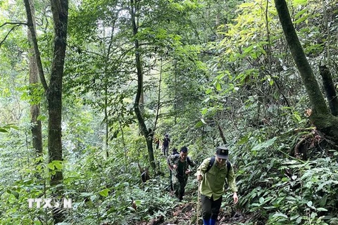 Các chuyên gia Tổ chức FFI tại Việt Nam đi khảo sát thực tế ở khu rừng Khau Ca thuộc Vườn Quốc gia Du Già - Cao nguyên đá Đồng Văn. (Ảnh: Minh Tâm/TTXVN)