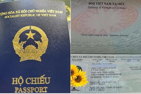 Cuốn hộ chiếu kiểu mới (màu xanh tím than) so với các cuốn hộ chiếu cũ màu xanh. (Ảnh: Mạnh Hùng/TTXVN)