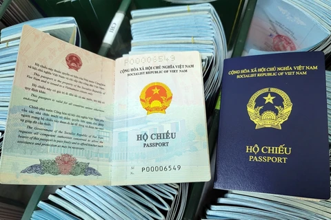 Hộ chiếu mẫu mới do Đại sứ quán Việt Nam tại Đức cấp có số serial bắt đầu bằng chữ Q. (Ảnh: Mạnh Hùng/TTXVN)