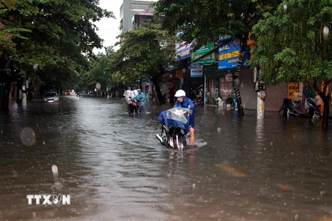 Đường Quang Trung, thành phố Nam Định ngập sâu do mưa lớn. (Ảnh: Văn Đạt/TTXVN)