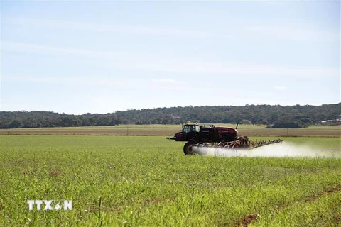 Máy kéo phun phân bón trên cánh đồng ở bang Goias, Brazil, ngày 19/5/2022. (Ảnh: AFP/TTXVN)
