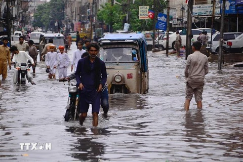 Cảnh ngập lụt sau những trận mưa lớn tại Hyderabad, Pakistan. (Ảnh: THX/TTXVN)