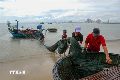 Ngư dân Đà Nẵng vận chuyển các ngư lưới cụ vào sâu trong đất liền để tránh bão Noru. (Ảnh: Trần Lê Lâm/TTXVN)