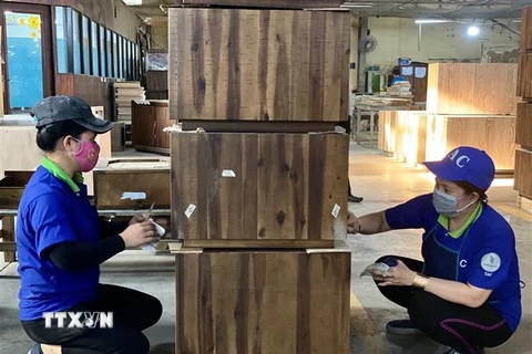 Công nhân Công ty Cổ phần Chế biến gỗ Thuận An kiểm tra các sản phẩm gỗ xuất khẩu. (Ảnh: TTXVN)