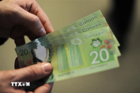 Đồng tiền mệnh giá 20 đôla Canada. (Ảnh minh họa: AFP/ TTXVN)