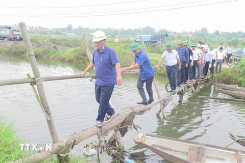 Bộ trưởng Lê Minh Hoan kiểm tra tại khu nuôi trồng thủy sản xã Quảng Công, huyện Quảng Điền, Thừa Thiên-Huế. (Ảnh: Tường Vi - TTXVN)