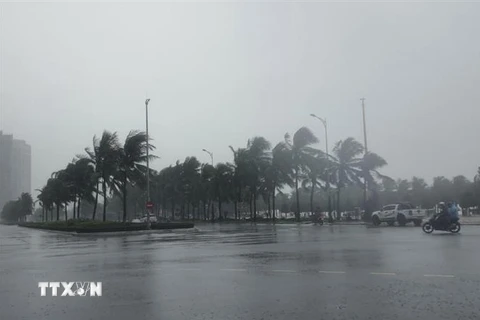 Gió giật mạnh liên hồi kèm theo mưa lớn khu vực ven biển Mỹ Khê. (Ảnh: Văn Dũng/TTXVN)