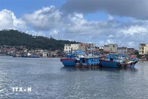 Ngư dân Thanh Hóa chuẩn bị cho tàu ra khơi khai thác hải sản. (Ảnh minh họa: Hoa Mai/TTVVN)